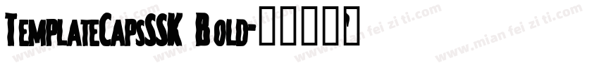 TemplateCapsSSK Bold字体转换